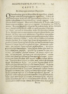 De Magnetica [...] Plantarum  p. 651